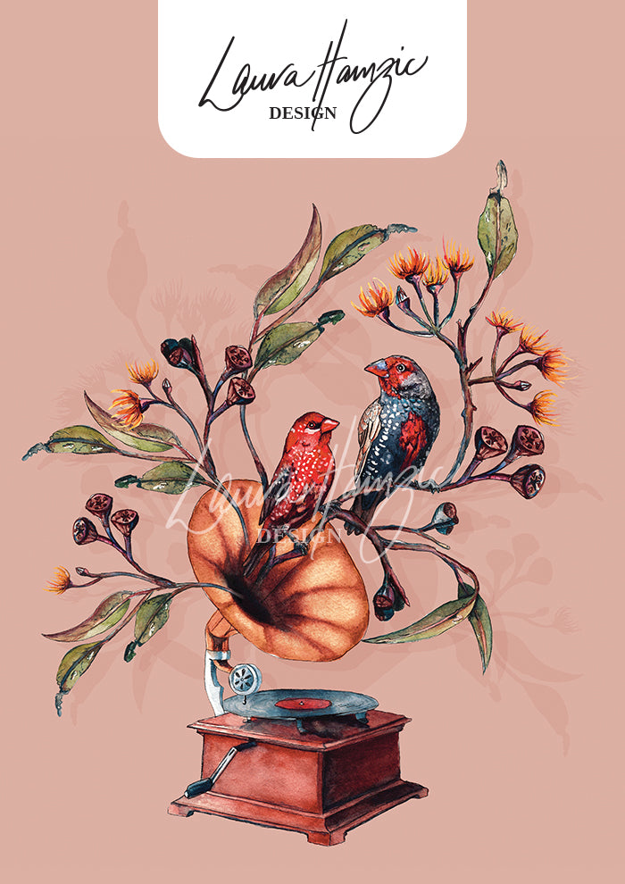 Finch Falsetto placement illustration, red firetail finches perched on a gramophone, surrounded by eucalyptus blossoms and gum leaves.
