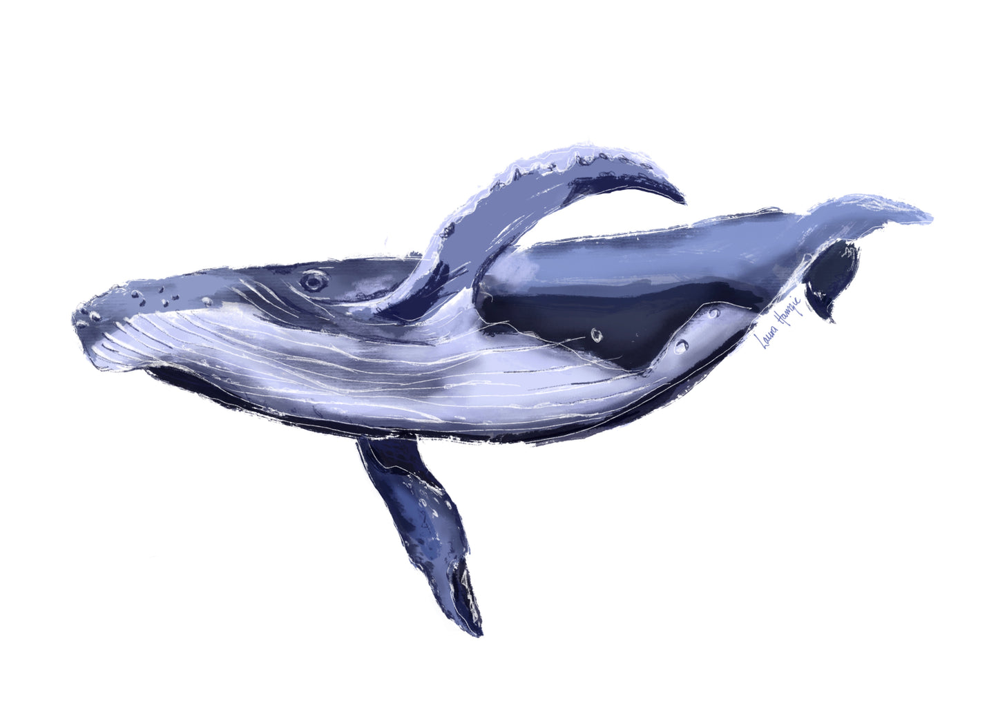 Painting of whale art print - hand-painted by Laura Hamzic Australian Artist