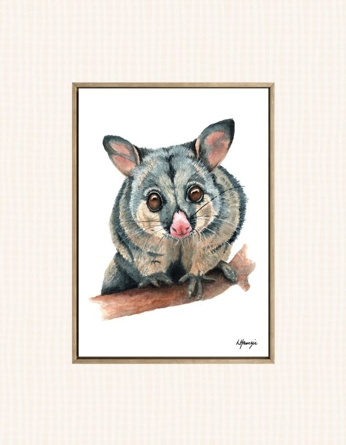 Watercolour art print of a brushtail possum that's watching closely from warm golden eyes and a delicate pink nose - hand-painted by Laura Hamzic