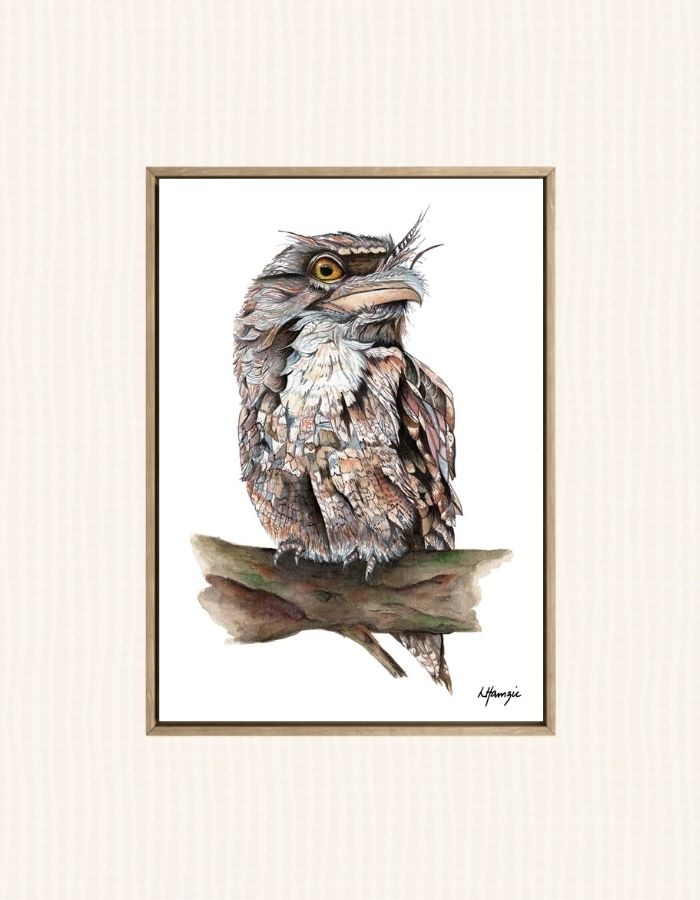 Tawny Frogmouth or Mopoke - this incredible bird has been captured in all of its stunning detail in watercolour by Laura Hamzic