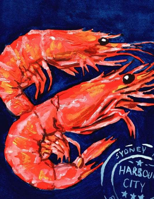 New South Wales Prawns