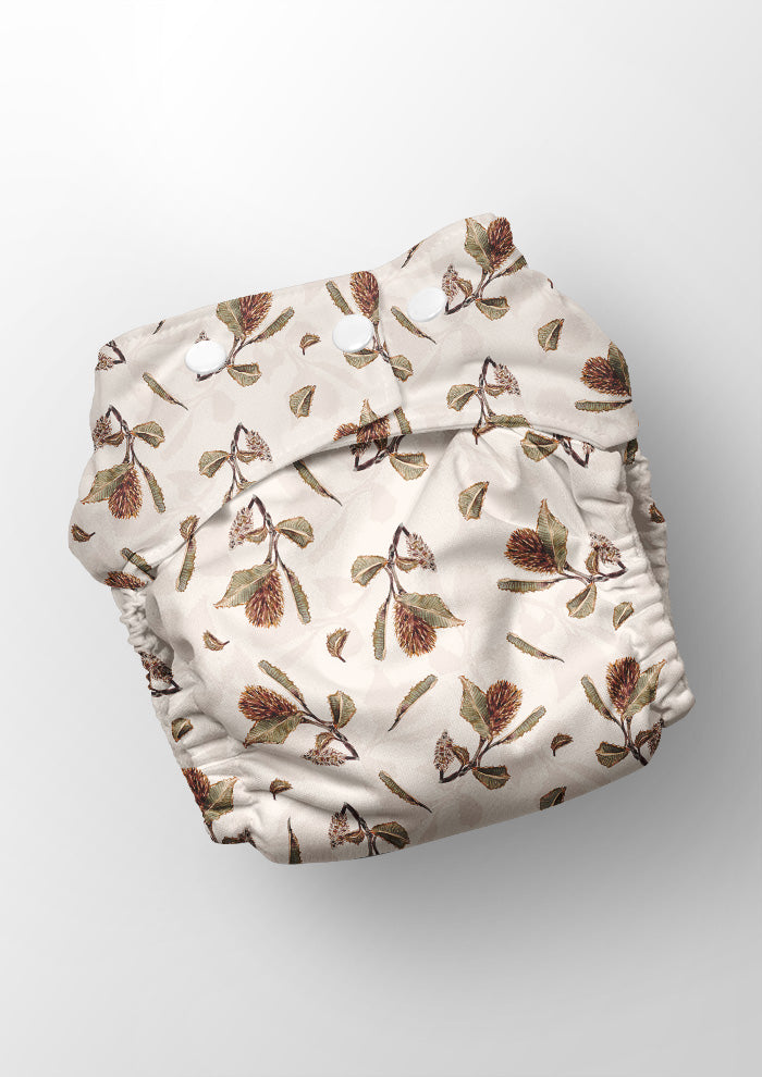 Seedpod Stories