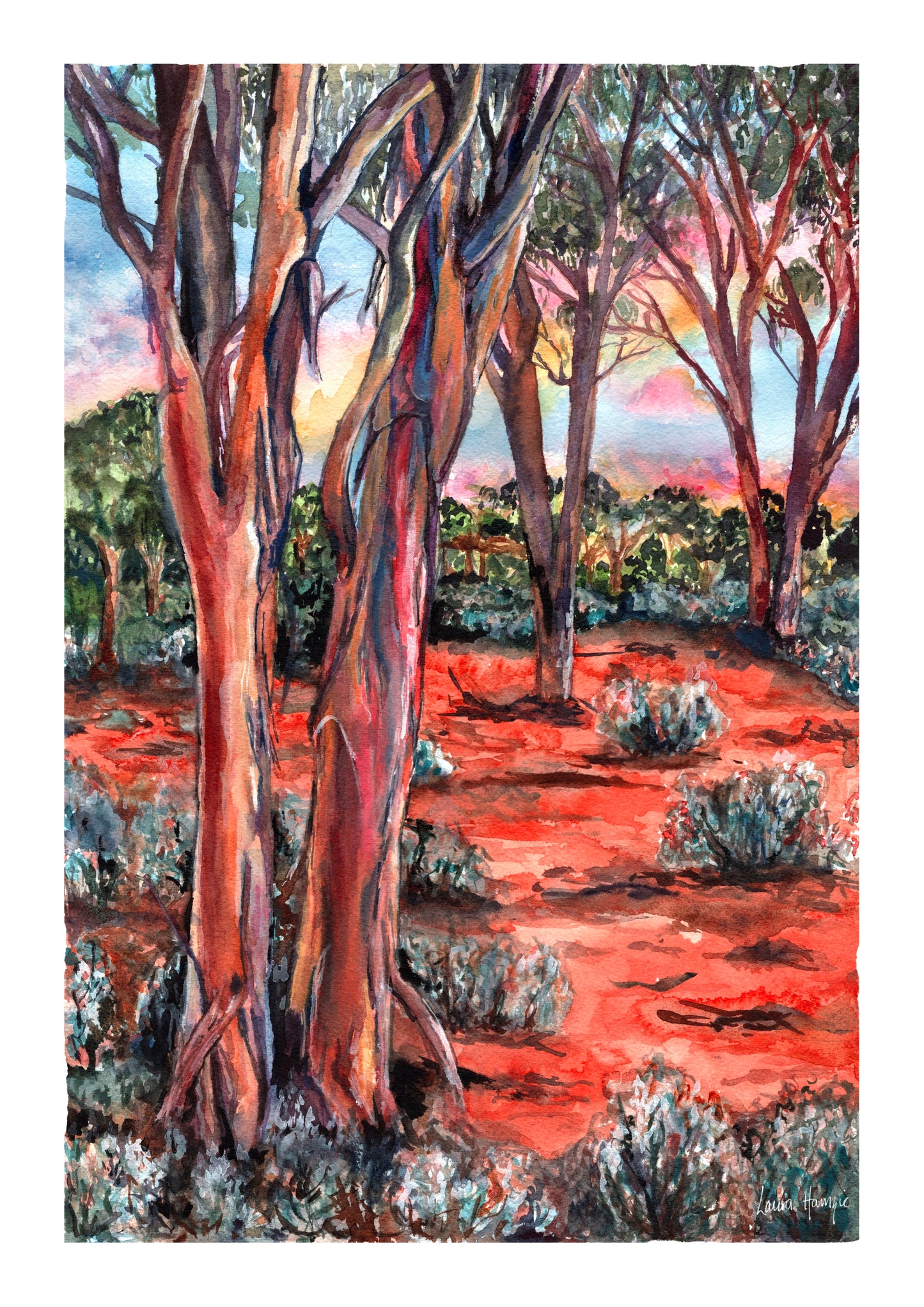 Watercolour art prints of the bush Salmon Gums in Kalgoorlie, Western Australia - these incredible trees glow bronze as the sun hits and reflect the red hues of the desert - painted by Laura Hamzic