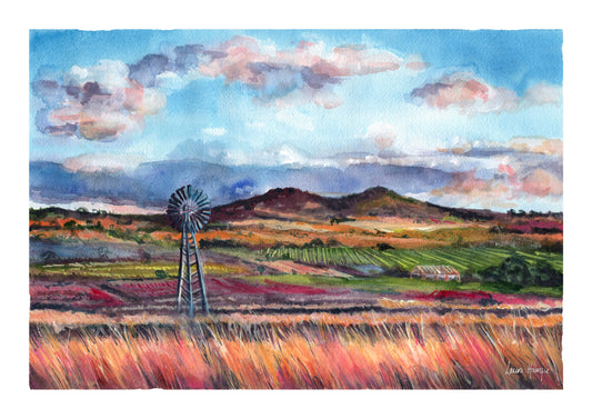Watercolour art prints of a Western Downs Farmland Scene, Australia - a beautiful landscape in earthy, warm colours captured as sun hits the bush grass and windmill - painted by Laura Hamzic