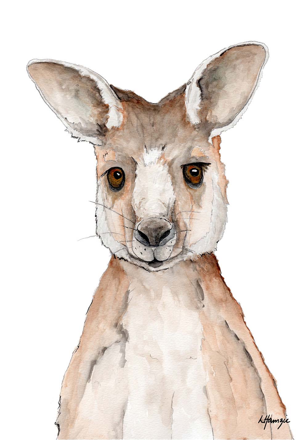 Watercolour art print of a kangaroo - hand-painted by Laura Hamzic.