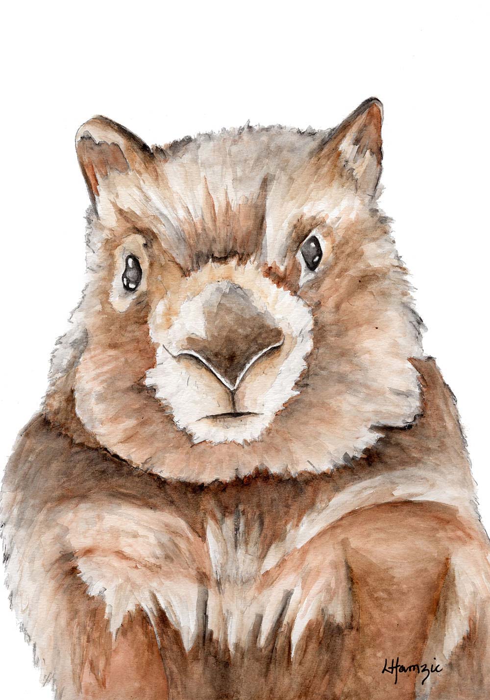 Australian Wombat captured in watercolour by Australian Artist Laura Hamzic