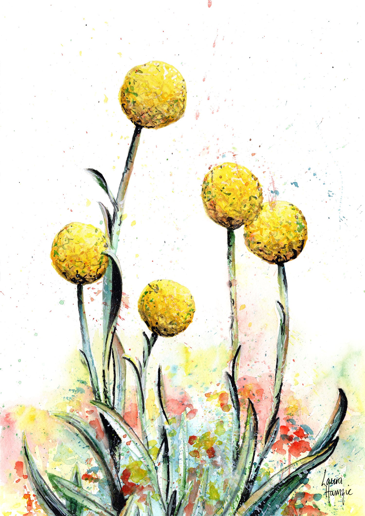 Client Testimonial art prints by Laura Hamzic - stunning yellow Billy Buttons flower with loose watercolour splatters to depict the wild nature of the flower