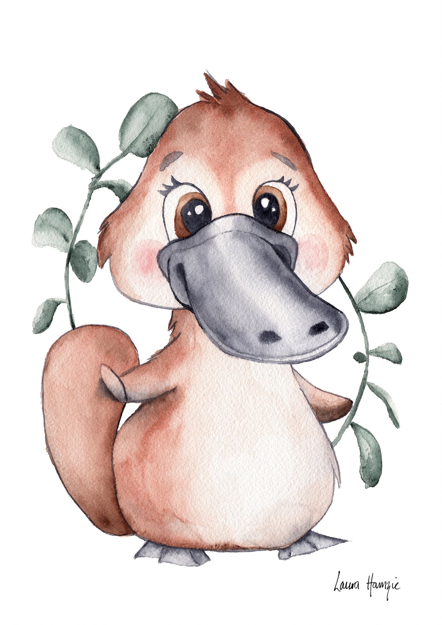 Watercolour art prints of a baby Platypus puggle with silver dollar eucalyptus - painted by Laura Hamzic