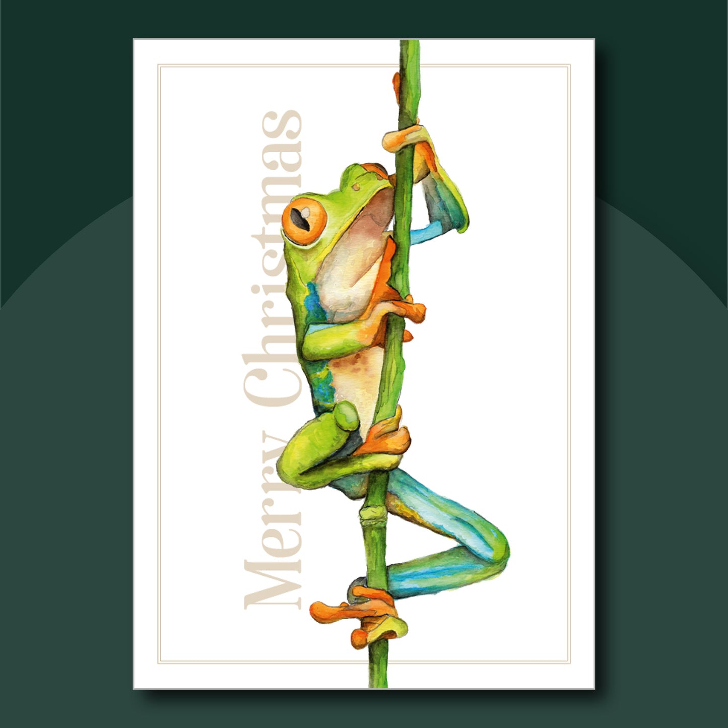 Set of Christmas cards design created from Laura Hamzic's watercolour paintings of Australian Animals - Frog