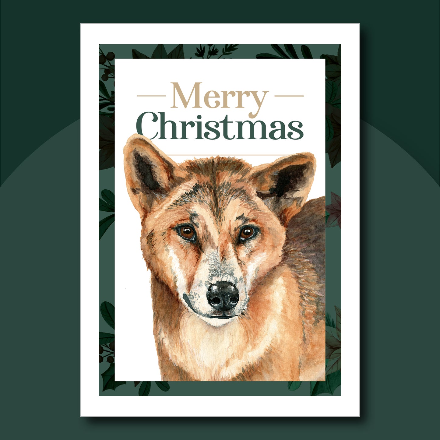 Set of Christmas cards design created from Laura Hamzic's watercolour paintings of Australian Animals - Dingo