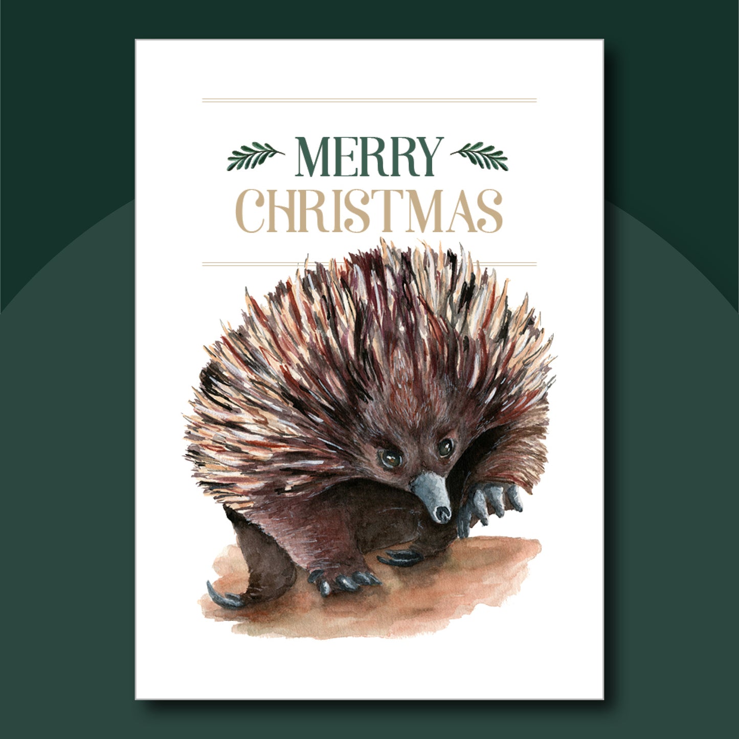 Set of Christmas cards design created from Laura Hamzic's watercolour paintings of Australian Animals - Echidna