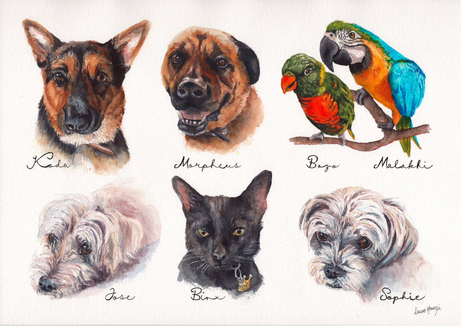 Custom artwork pet portrait by Laura Hamzic