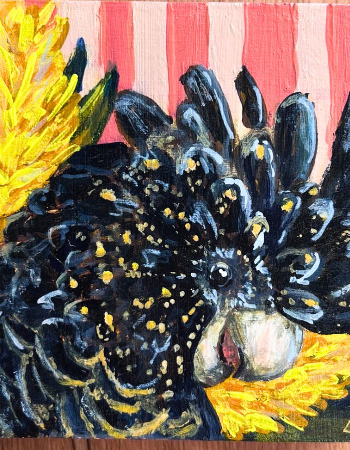 Textured acrylic detail of black cockatoo feathers and yellow markings
