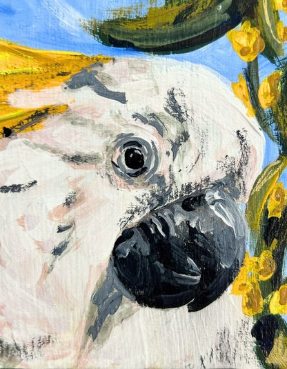 Close-up of white cockatoo with yellow crest and black beak