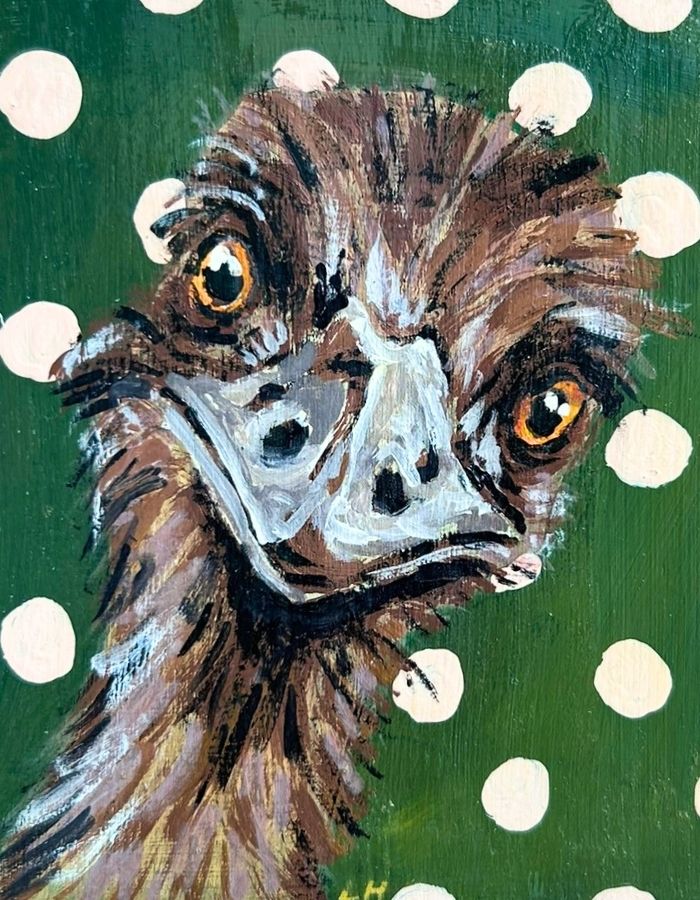 Close-up of cheeky emu face with expressive eyes