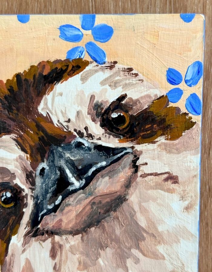 Close-up of kookaburra face with warm brown feathers