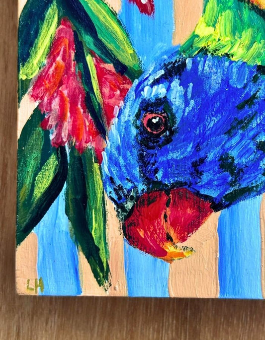 Close-up of colourful rainbow lorikeet with blue head