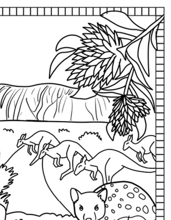 Free Northern Territory Colouring Page