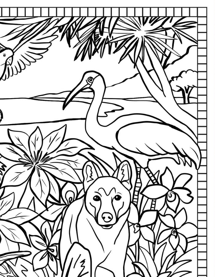 Black and white Queensland colouring page for kids featuring fun Australian illustrations to colour at home