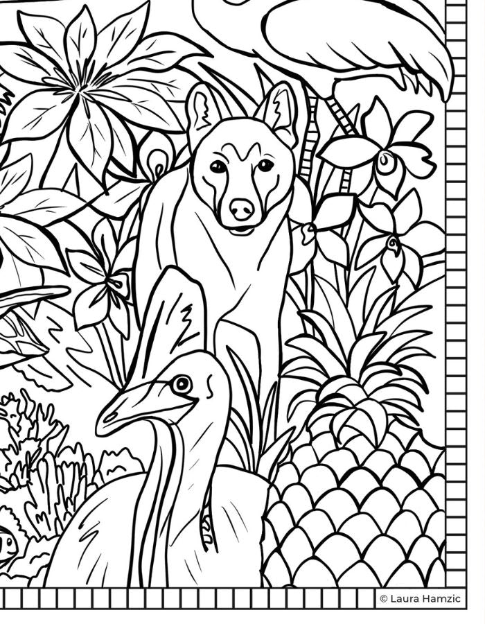 Australian kids colouring page Queensland themed printable featuring tropical motifs and recognisable local elements