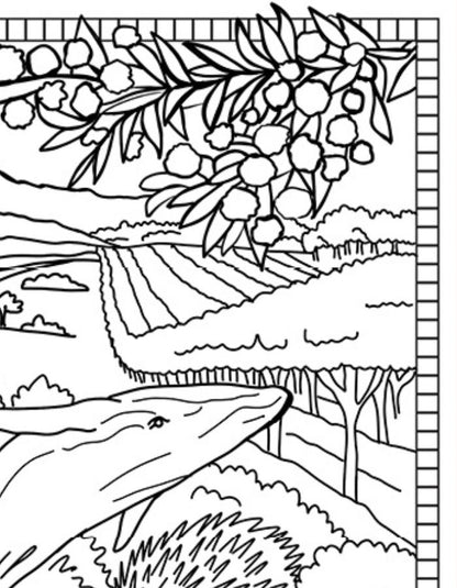 Free South Australia Colouring Page