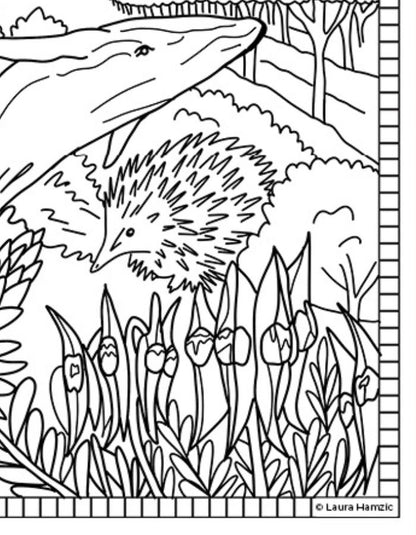 Free South Australia Colouring Page