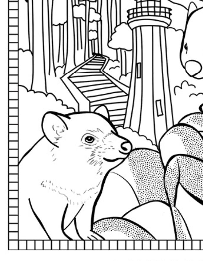 Free Tasmania Colouring Page