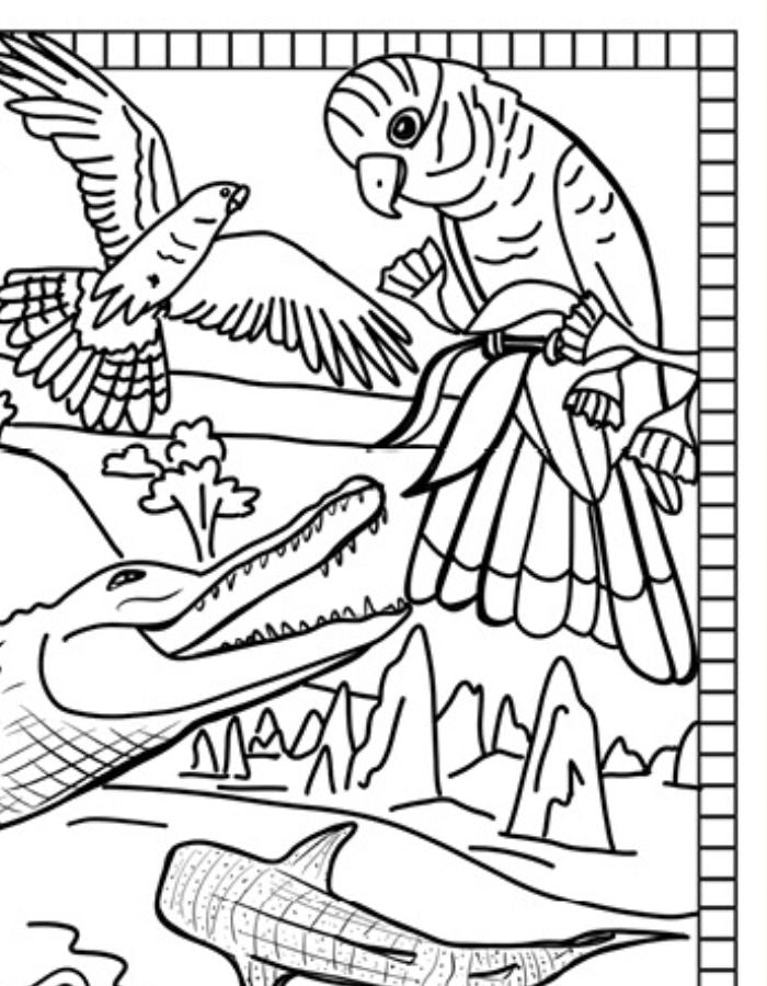 Free Western Australia Colouring Page