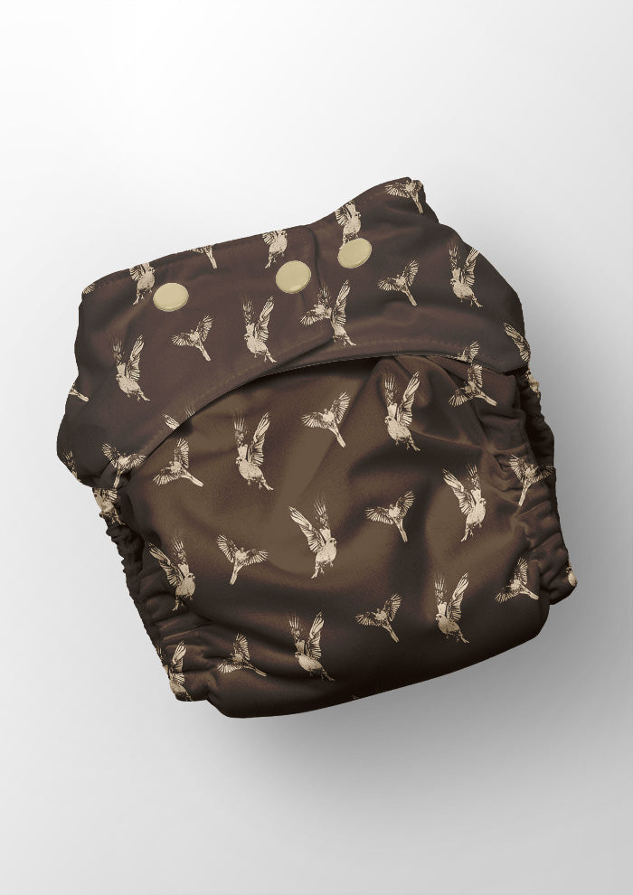 Mulga Parrot Murmurs - Chocolate Brown