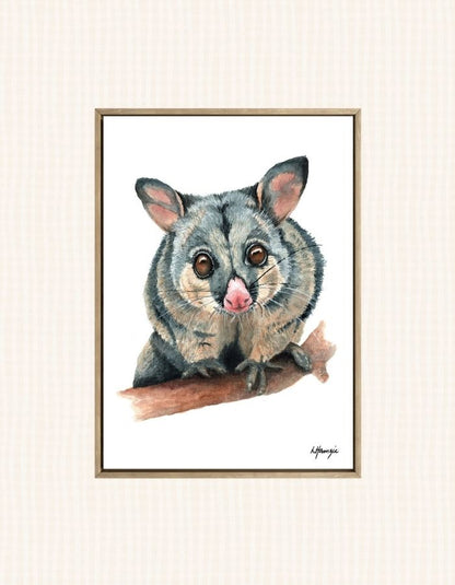 Watercolour art print of a brushtail possum that's watching closely from warm golden eyes and a delicate pink nose - hand-painted by Laura Hamzic