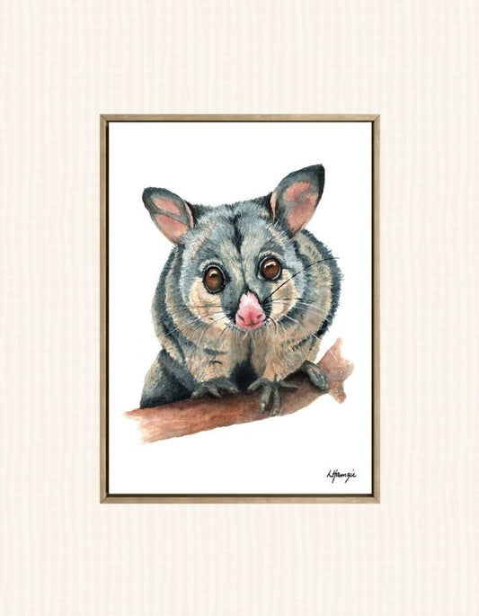 Watercolour art print of a brushtail possum that's watching closely from warm golden eyes and a delicate pink nose - hand-painted by Laura Hamzic