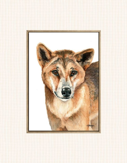 Realistic painting of a dingo painted in watercolour by Laura Hamzic, Australian Artist - available as art prints