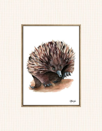 Realistic painting of an echidna painted in watercolour by Laura Hamzic, Australian Artist - available as art prints