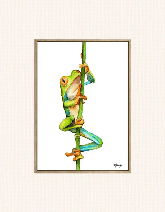 Australian Green Tree Frog captured in watercolour by Australian Artist Laura Hamzic