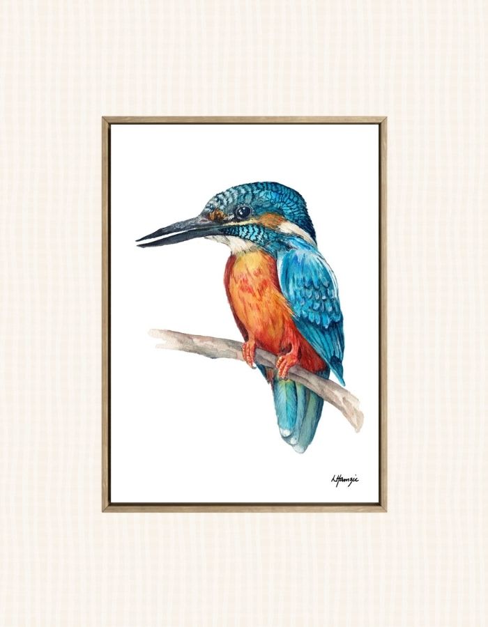 Australian Kingfisher Bird - Blue and Orange captured in watercolour by Australian Artist Laura Hamzic