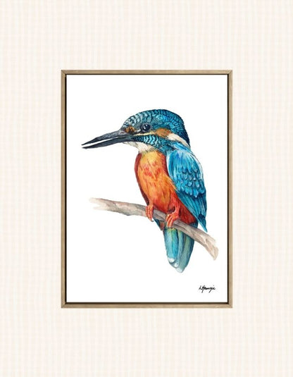 Australian Kingfisher Bird - Blue and Orange captured in watercolour by Australian Artist Laura Hamzic