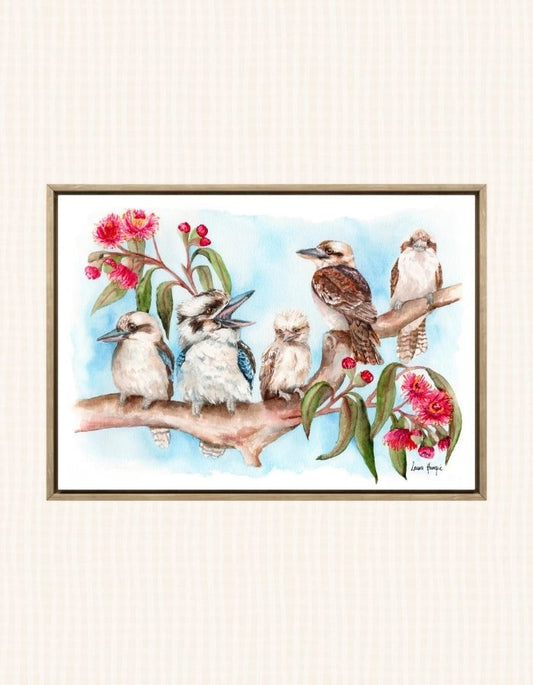 Kookaburra Family