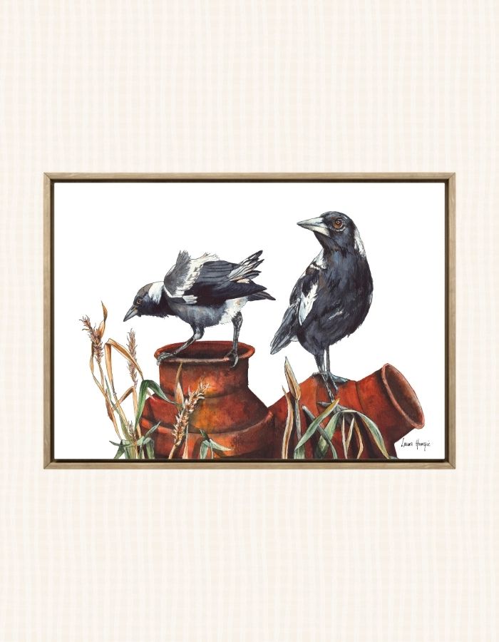 Watercolour art prints of a pair of Magpies cuasing mischief as they chat and play on rusty cream cans amongst bush grass - painted by Laura Hamzic