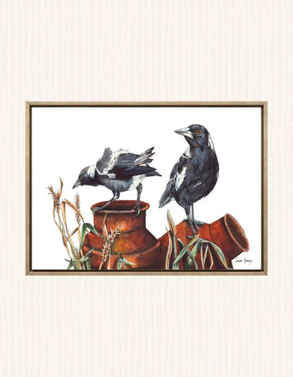 Watercolour art prints of a pair of Magpies cuasing mischief as they chat and play on rusty cream cans amongst bush grass - painted by Laura Hamzic