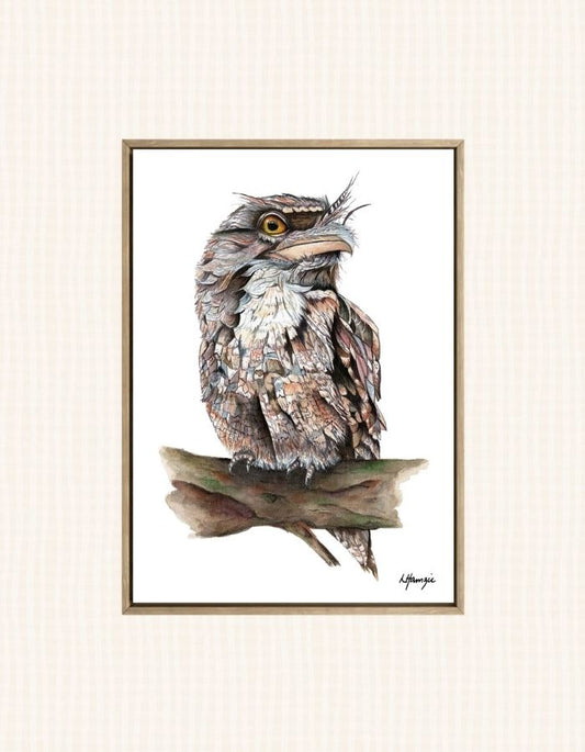 Tawny Frogmouth or Mopoke - this incredible bird has been captured in all of its stunning detail in watercolour by Laura Hamzic