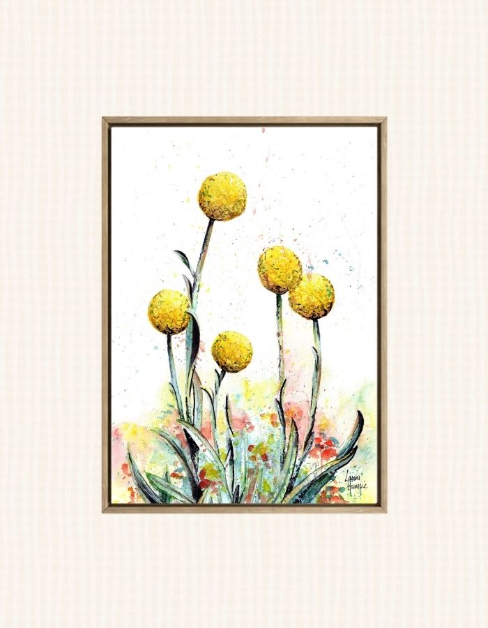 Stunning yellow Billy Buttons flower with loose watercolour splatters to depict the wild nature of the flower