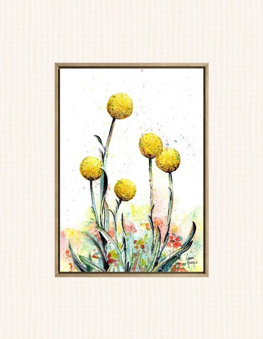 Stunning yellow Billy Buttons flower with loose watercolour splatters to depict the wild nature of the flower