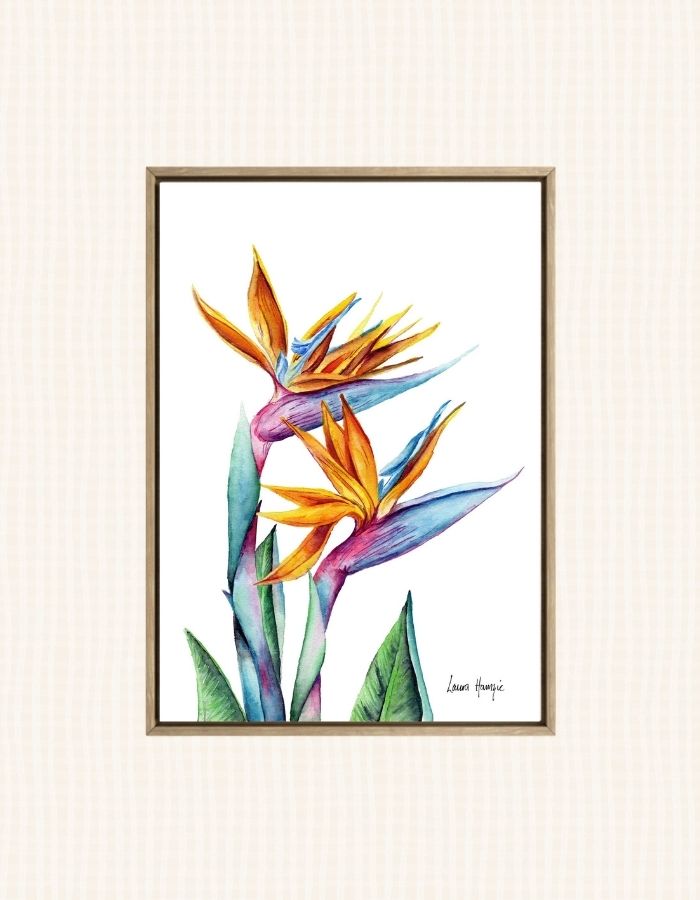 Art prints of a bold, colourful birds of paradise flower hand-painted in watercolour by Laura Hamzic