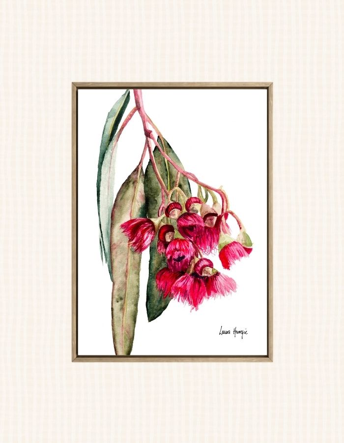 Watercolour art print of a stunning pink eucalyptus gum blossom and leaves, hand-painted by Laura Hamzic.