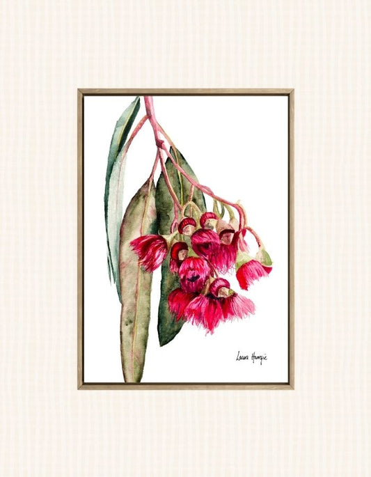 Watercolour art print of a stunning pink eucalyptus gum blossom and leaves, hand-painted by Laura Hamzic.