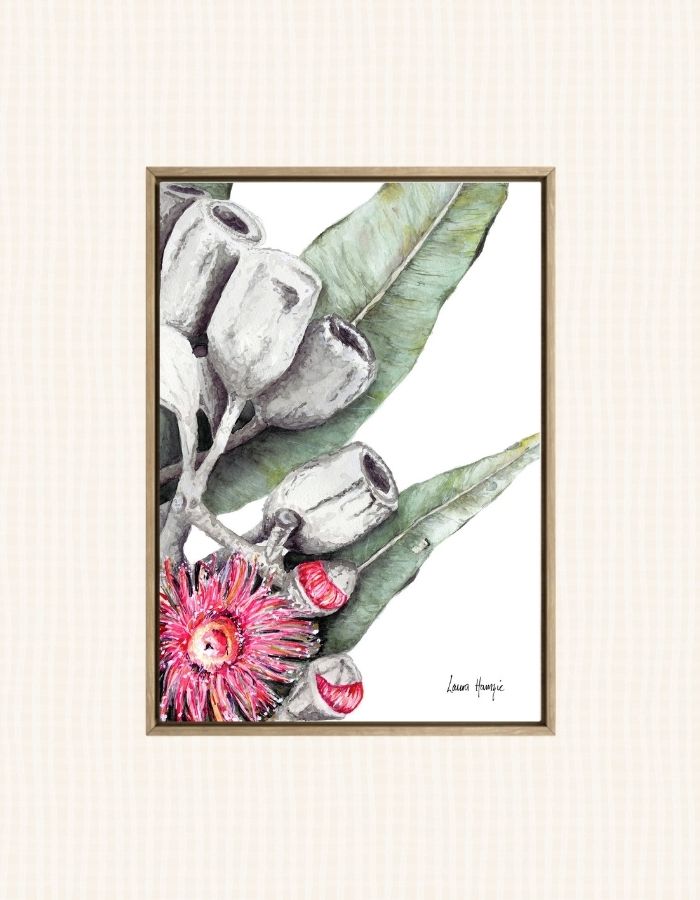 Watercolour art print of eucalyptus flowers and gum nuts trailing through gum leaves - artowrk by Laura Hamzic