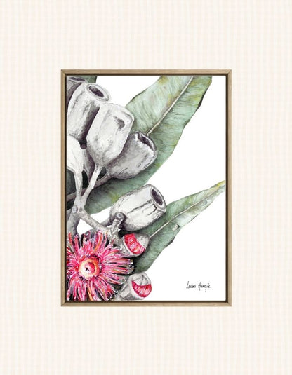 Watercolour art print of eucalyptus flowers and gum nuts trailing through gum leaves - artowrk by Laura Hamzic