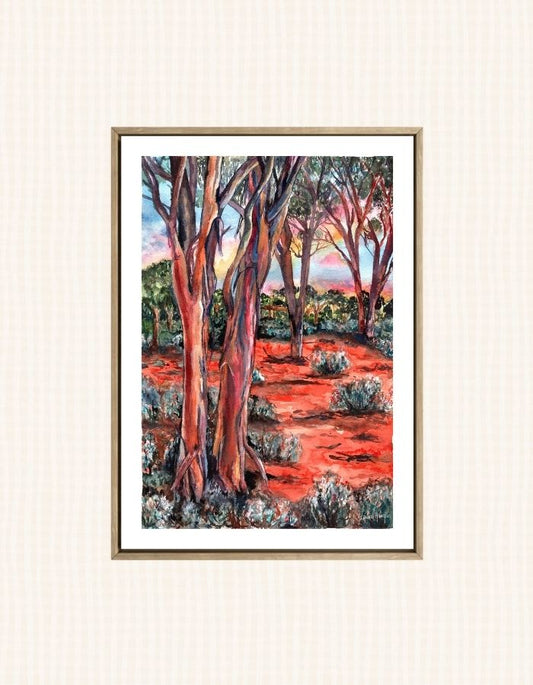 Watercolour art prints of the bush Salmon Gums in Kalgoorlie, Western Australia - these incredible trees glow bronze as the sun hits and reflect the red hues of the desert - painted by Laura Hamzic