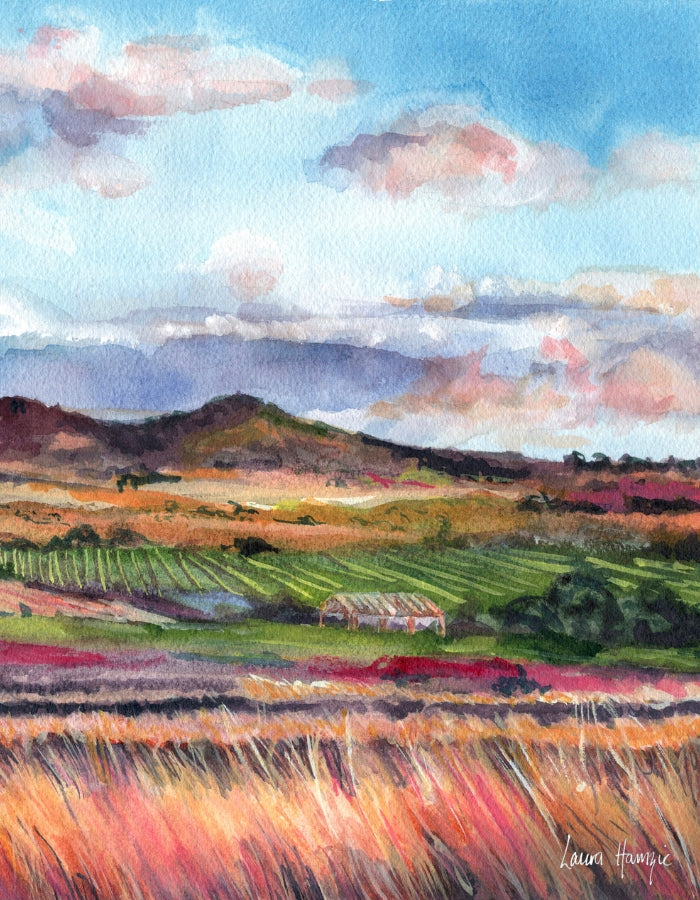 The Darling Downs