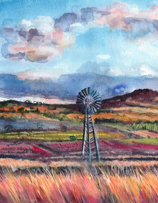 The Darling Downs